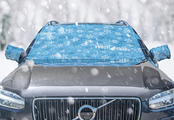 Winter Survival Specials