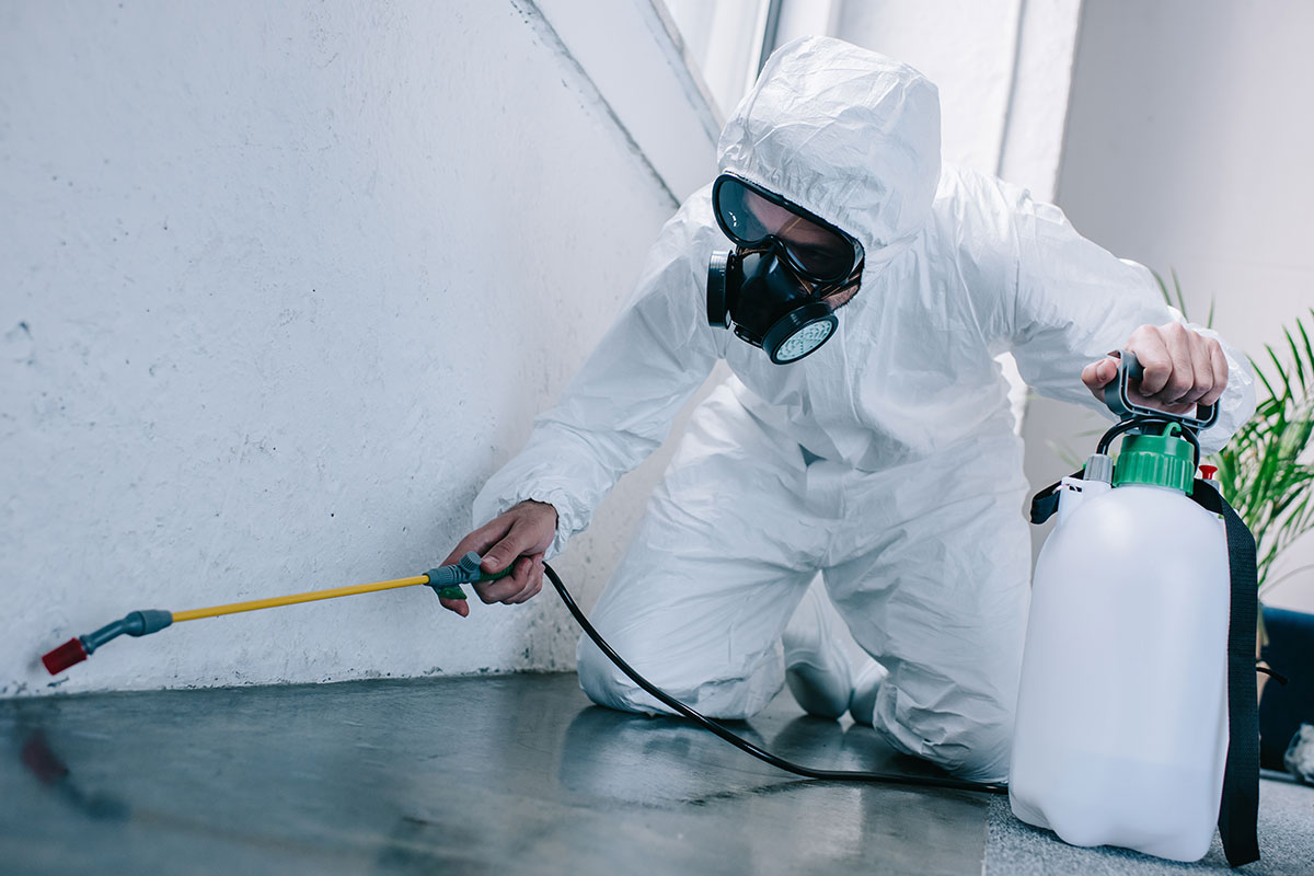 Safe Pest Control Products What You Need to Know